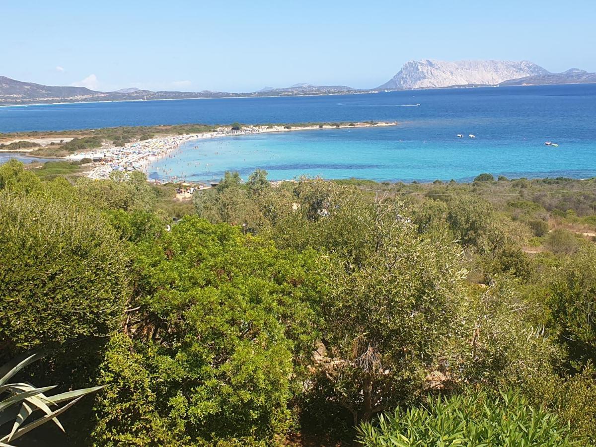 Ferienhaus Panorama, San Teodoro, Isuledda San Teodoro  Esterno foto